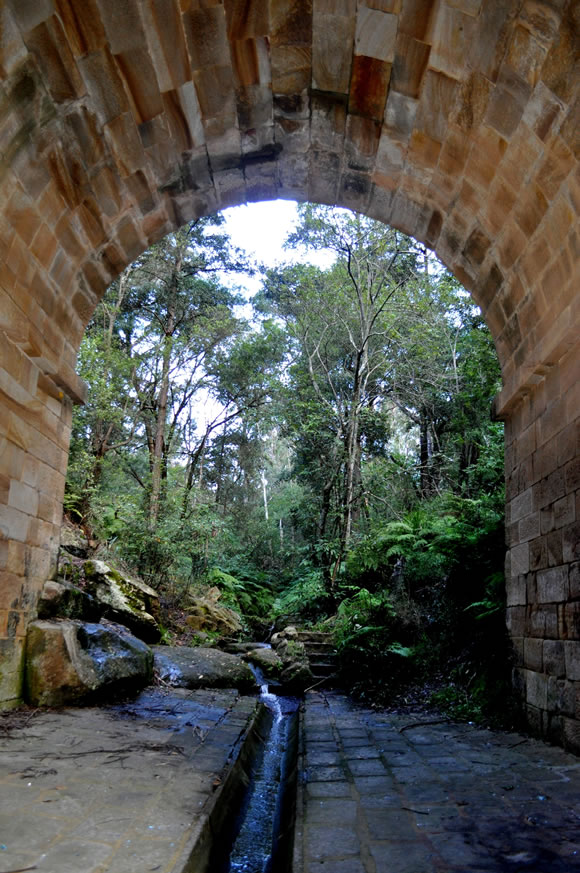  Fairy Glen 