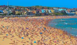 My Day In Bondi