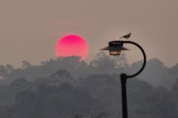 Smokey Sunset In Brisbane 