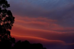 'god's Painting'..spring Sky Rutherford Nsw