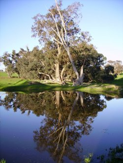 Reflection On Life