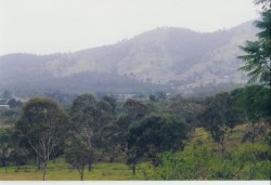 Nanas Mountain