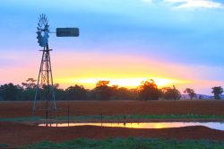 Lachlan Sunset