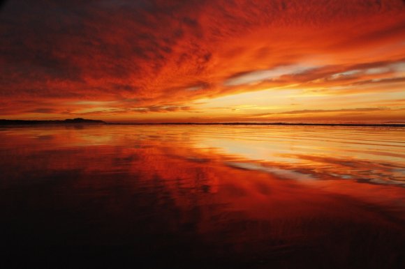 Autumn Fire