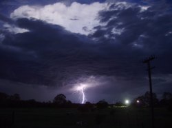 Natures Electricity
