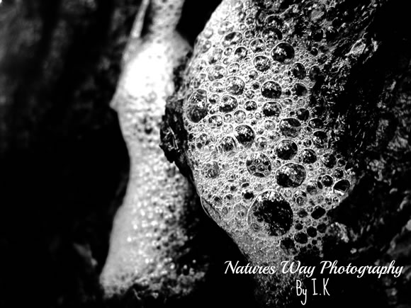 Bubbles