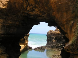 Nature's Window