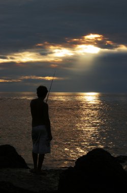 Catching The Last Light