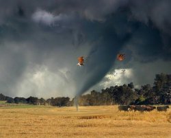 Storm Over Boddington