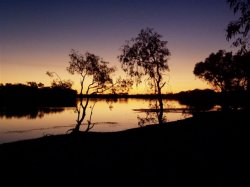 Luminous Lake