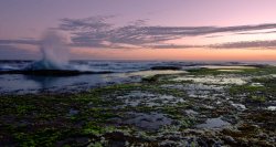 Portsea Wave