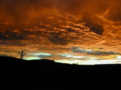 Sky Fire
