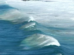 Waves