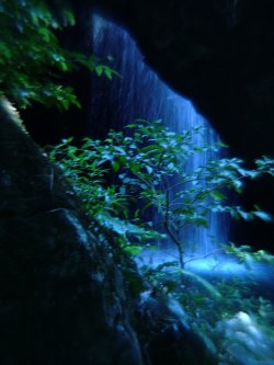 Natural Arche