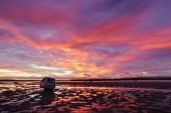Tin Can Bay Mood