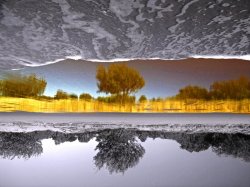 Perception