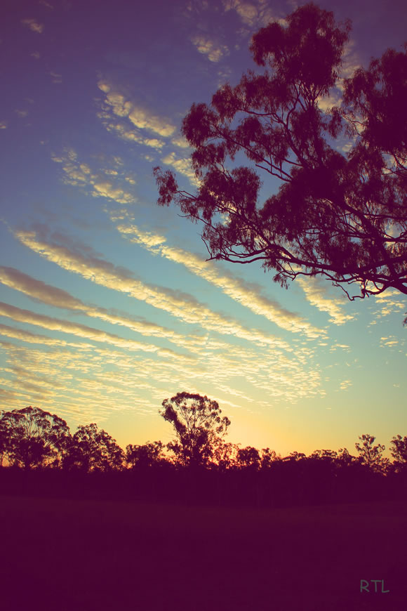 Sun Set