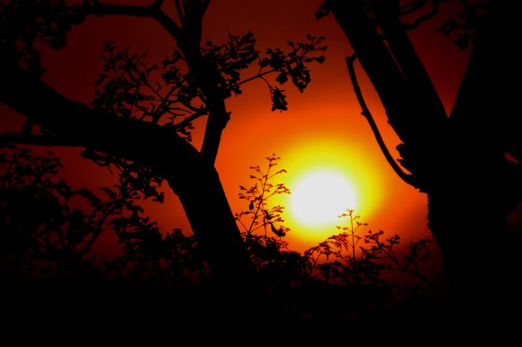 Suburban Sun Set