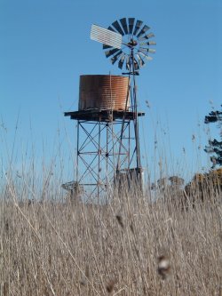 Windmill
