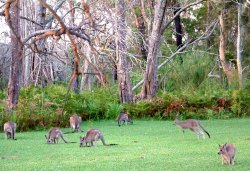 Colours Of Australia