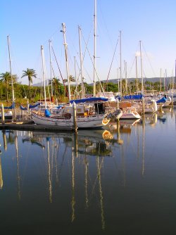 Port Douglas Marina