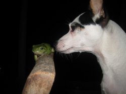Curious