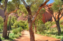 Ayres Rock Walk