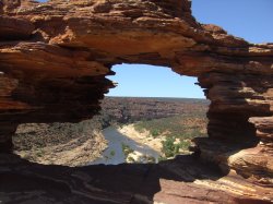 Natures Window
