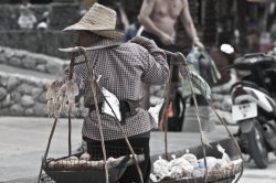 Cart Lady