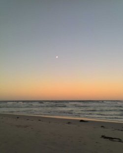Peace At The Beach