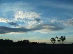 On Land Sunset