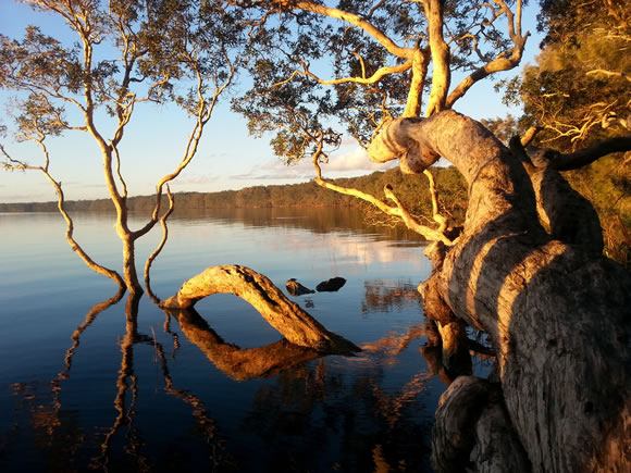 Winters Day At Mungo Brush