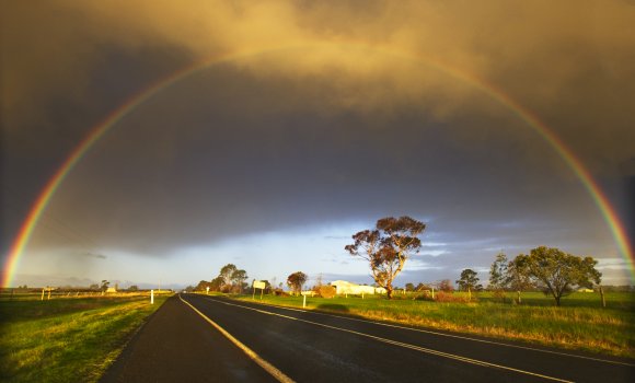 Driving Home
