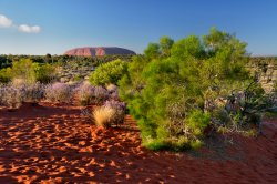 Outback Colours
