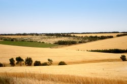 Aldinga Country