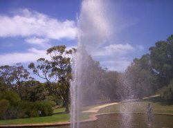 Spray Of Enchantment