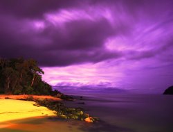 Palm Cove Night