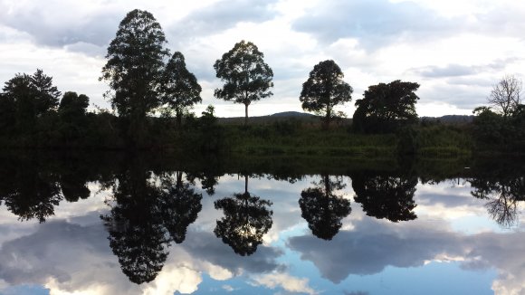 Reflections