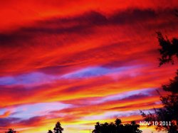 Red Streaks