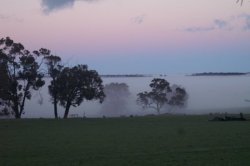 Fog At Sunrise