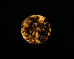 Super Moon (night 2)