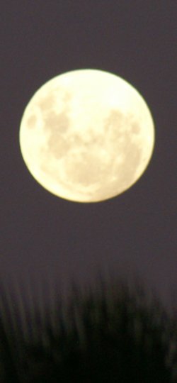Super Moon (night 1)