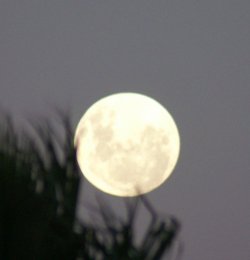 Super Moon (night 1, Pic 2)