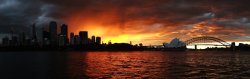 Sydney Sunset