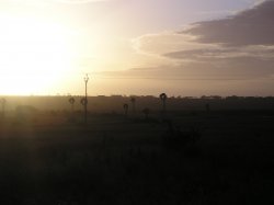 Sunrise At Penong