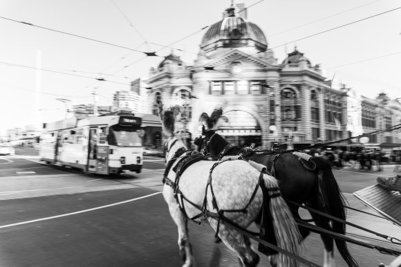 Melbourne On The Move