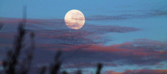 Morning Moon Set