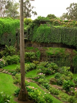 Umpherston Sink Hole In Mt Gambier