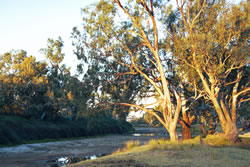 Cooper Creek