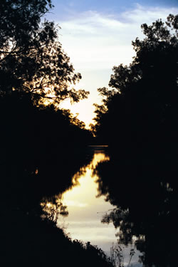 Cooper Sunset